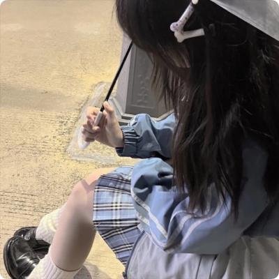 飞骑追踪海报